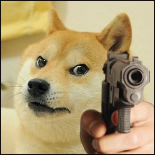 Meme chó cầm súng 3