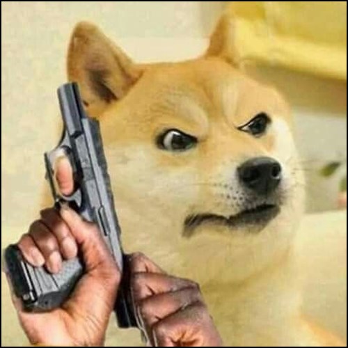 Meme chó cầm súng 11