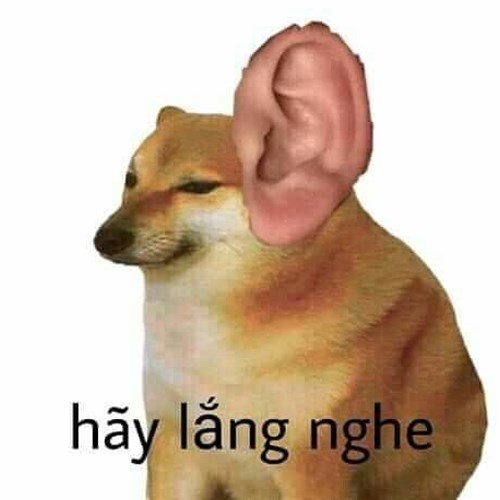 Meme chó hài hước, bựa 12