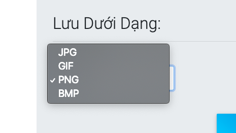 Chọn định dạng ảnh bạn muốn lưu sau khi chỉnh kích thước, bao gồm: PNG, GIF, JPG, BMP