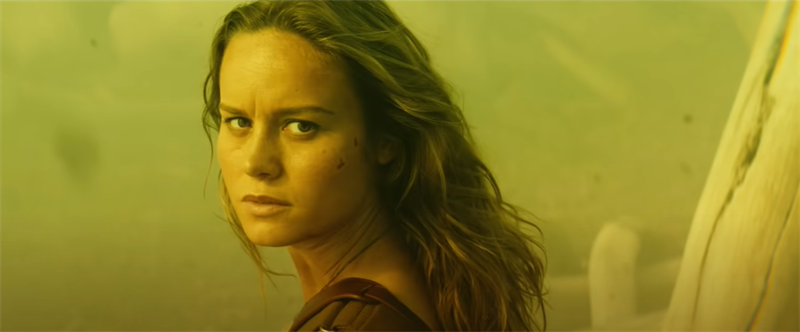 Brie Larson trong vai nhiếp ảnh gia Mason Weaver