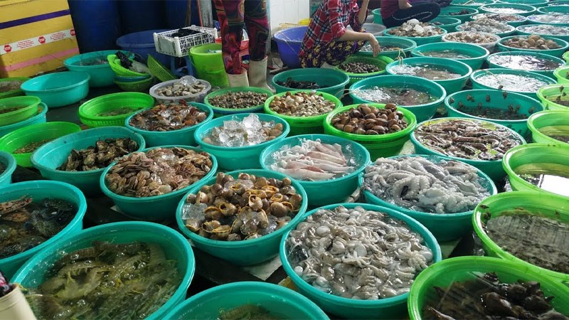 Vô số hải sản tươi sống cho bạn chọn lựa 