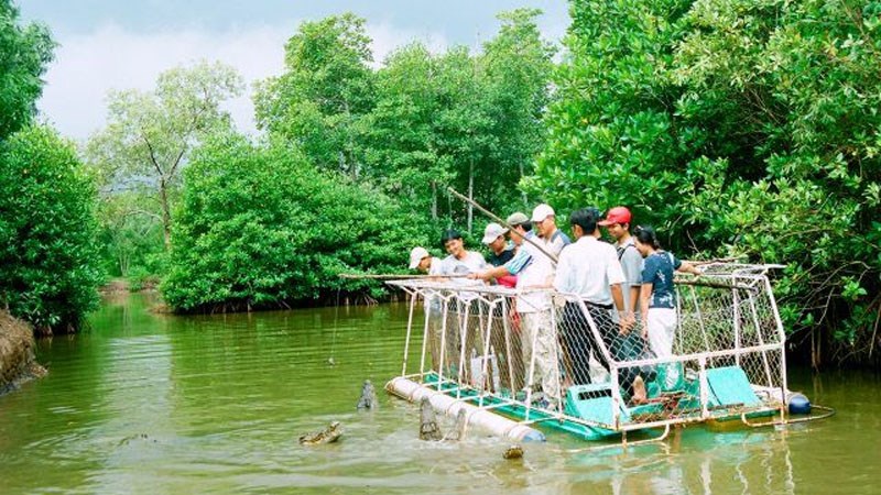 Câu cá sấu là một trò chơi mạo hiểm mà bạn có thể thử khi đến với Vàm Sát