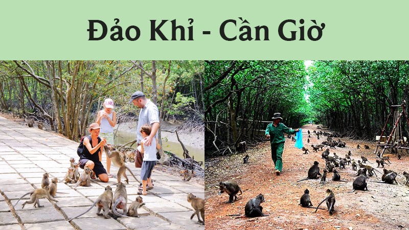 Đảo Khỉ 