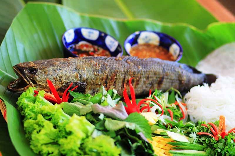 Cá lóc nướng - Ẩm thực Bò Cạp Vàng