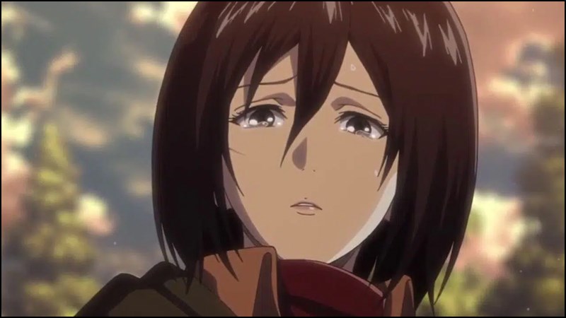 Mikasa (Attack On Titan)