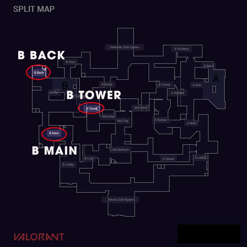 Những vị tr&iacute; quan trọng