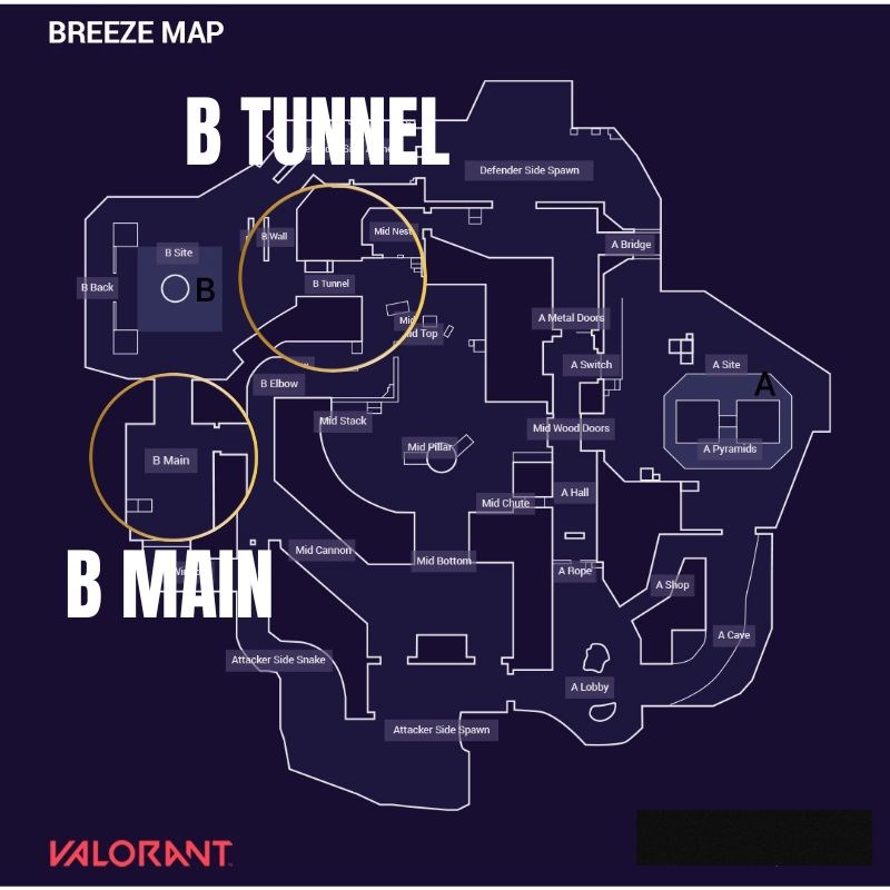 Những vị tr&iacute; quan trọng