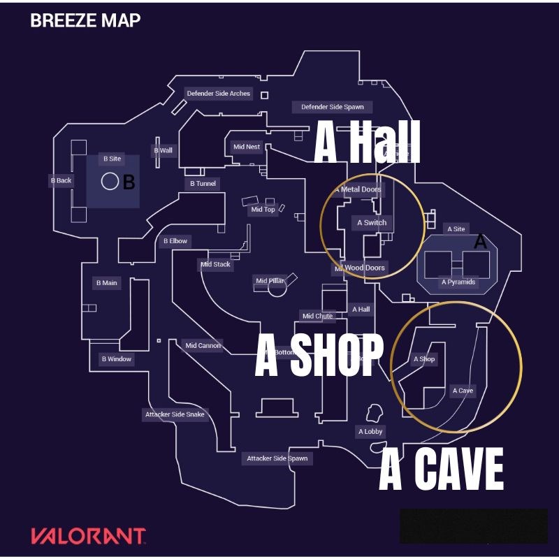 Những vị tr&iacute; quan trọng