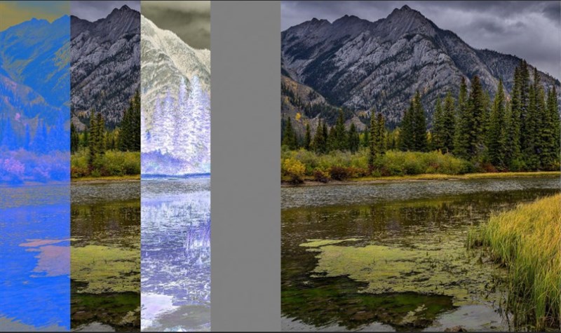 Hiệu ứng Exclusion