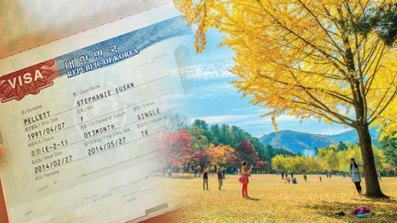 Visa 