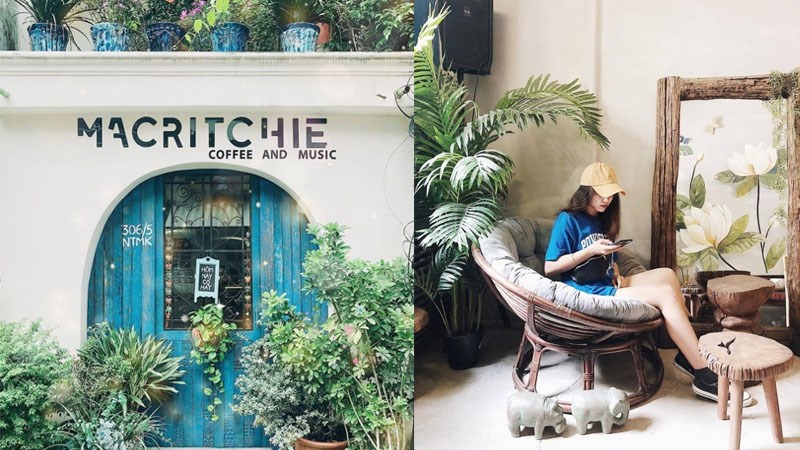 Macritchie Coffee and Music