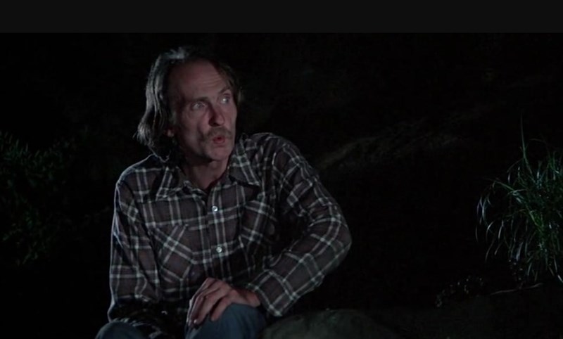 Roy Neary (Richard Dreyfuss) 