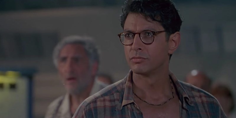 David Levinson (Jeff Goldblum) 