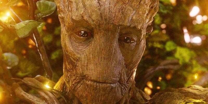 Groot