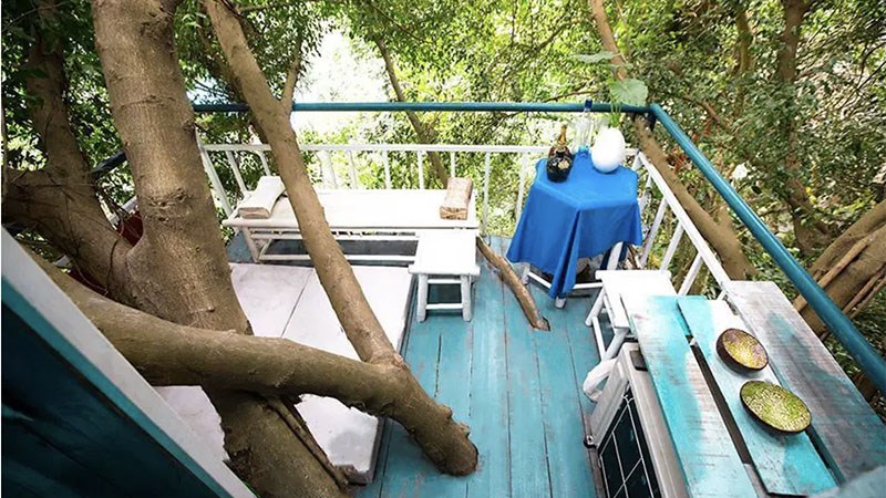 Homestay trên cây Hà Nội 