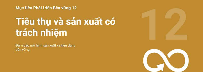 Mục tiêu 12