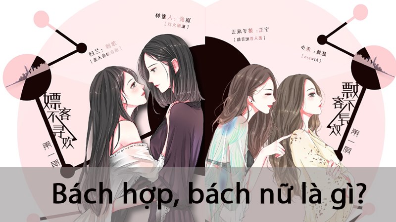 Bách hợp, bách nữ là gì? Các thuật ngữ hay dùng trong truyện bách hợp