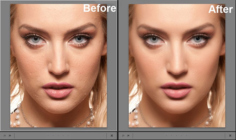 portrait professional lightroom plugin