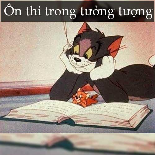 Ảnh Meme Tom and Jerry 8