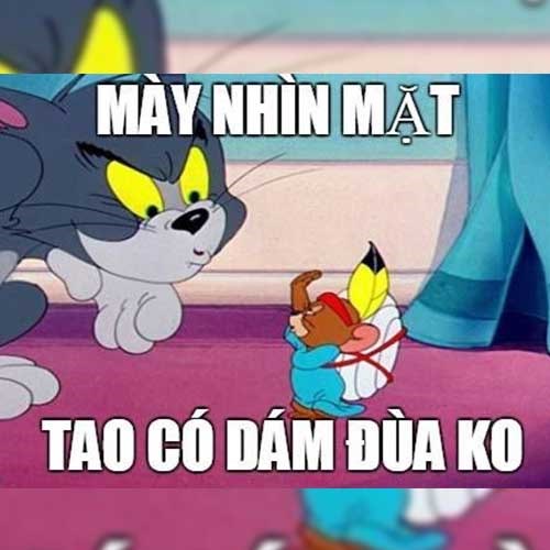 Ảnh Meme Tom and Jerry 10