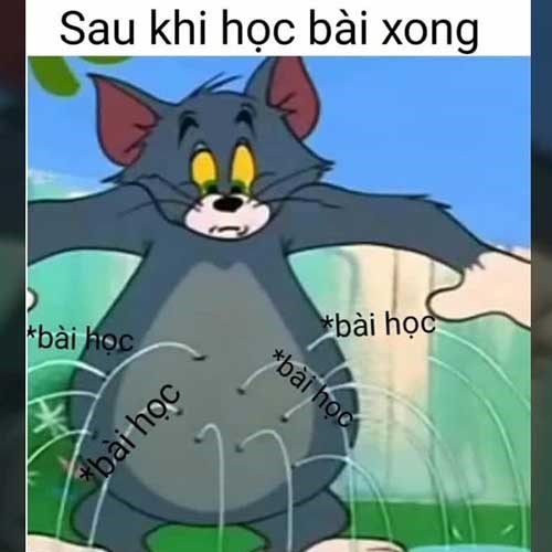 Ảnh Meme Tom and Jerry 11