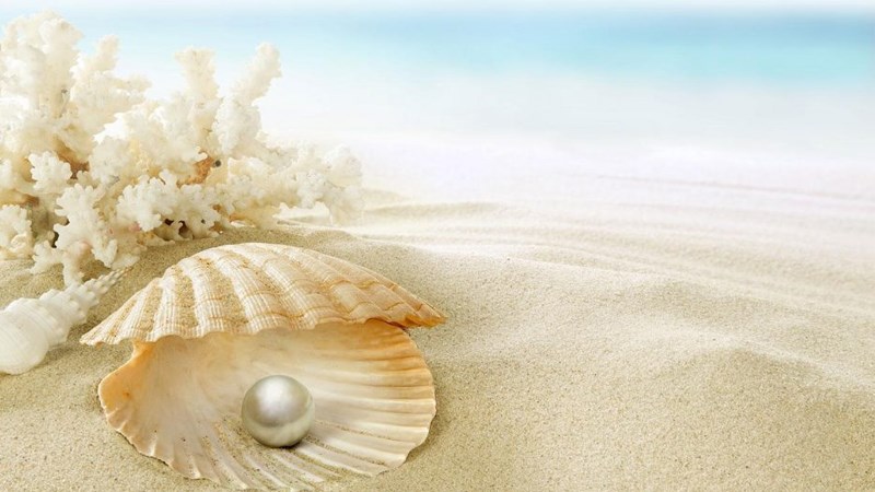 Kỷ niệm 30 năm ngày cưới – Đám cưới ngọc trai