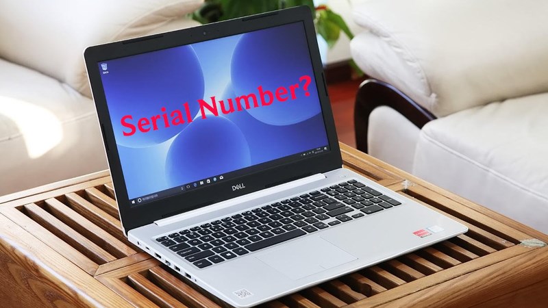 Serial Number là gì? 