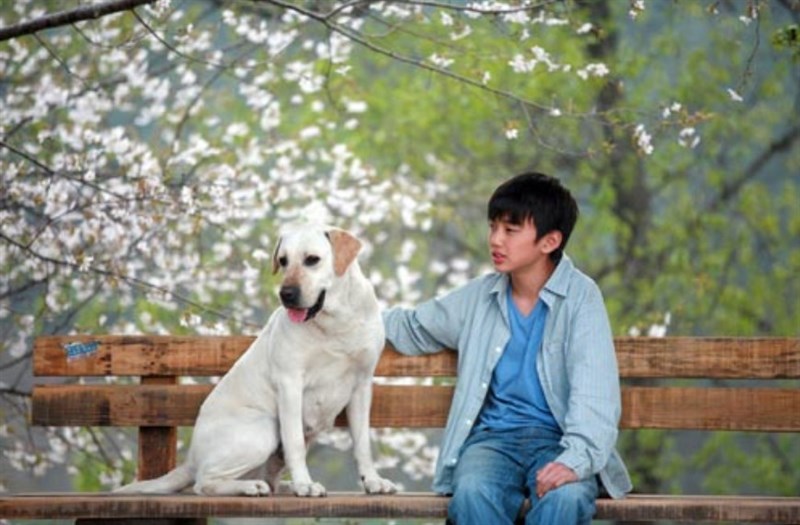 Nhân vật Chan-yi do Yoo Seung-Ho thủ vai
