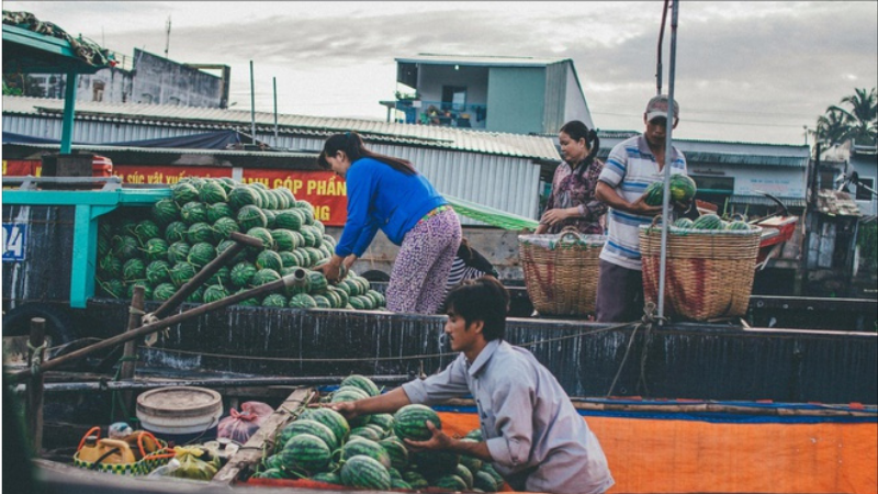 Những gánh hàng trên sông 