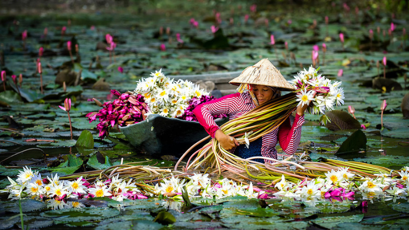 Người miền Tây chịu thương chịu khó