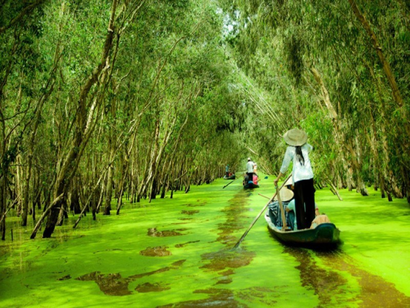 Rừng tràm Trà Sư - khu du lịch sinh thái Miền Tây