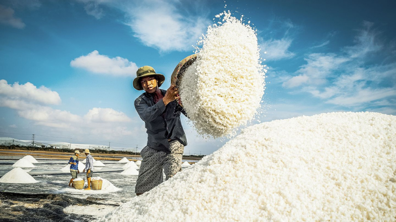 Vẻ đẹp người lao động trên cánh đồng muối
