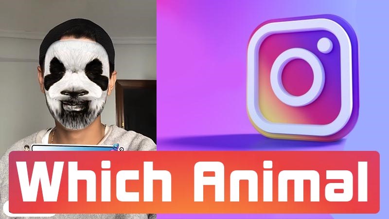 Cách tạo hiệu ứng Which Animal trên Story Intagram