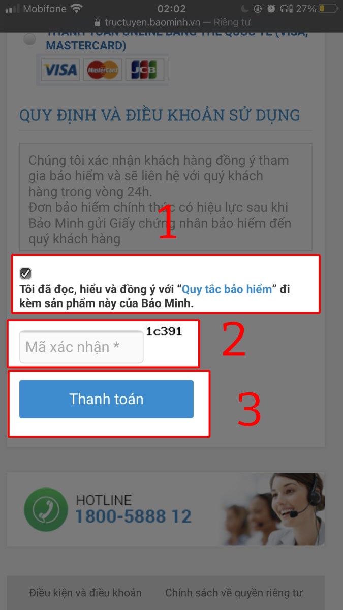 Tick vào Tôi đã đọc..., nhập Mã xác nhận và nhấn nút Thanh toán.