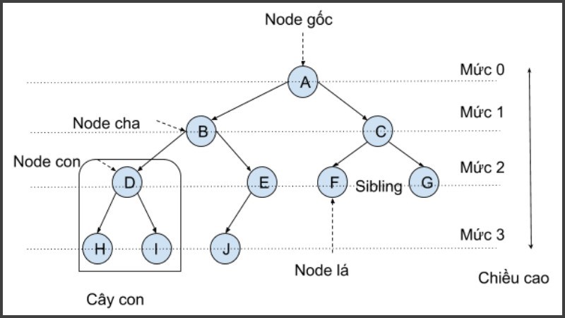 Ứng dụng của queue vào giải thuật Breadth-First search
