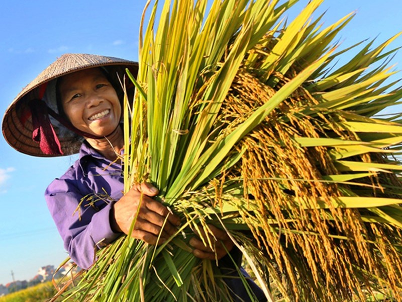 14-10-1930: Ngày hội Nông dân Việt Nam