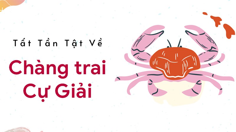 Cự giải nam | Giải mã tình yêu của chàng Cự Giải chung thủy