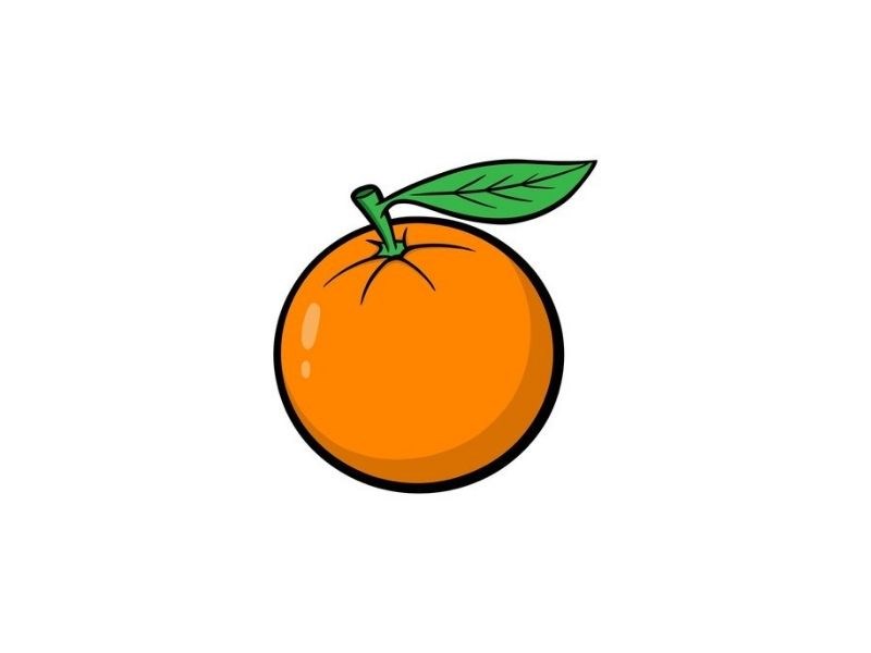 Drawing orange  vẽ quả cam  art thao162  YouTube