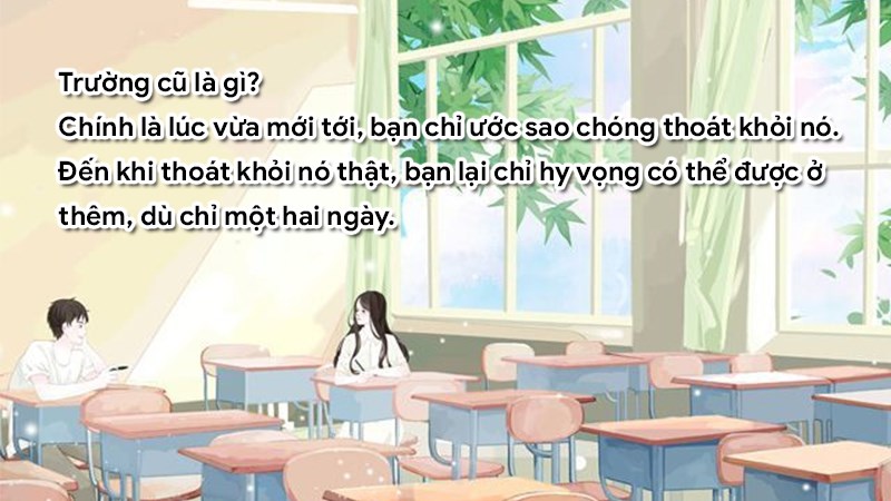 Trường cũ là gì?