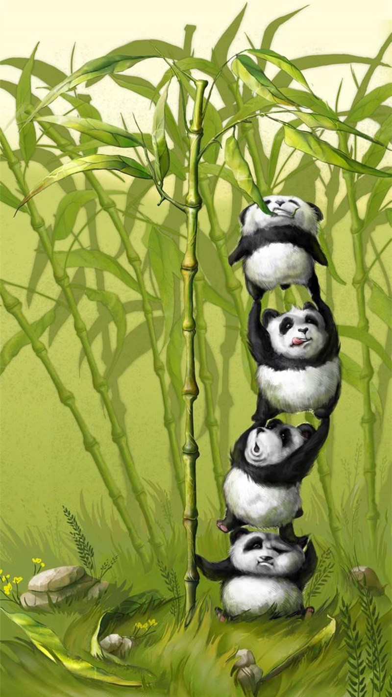 Ảnh gấu trúc panda - 7 (Kích thước: 1080 x 1920)
