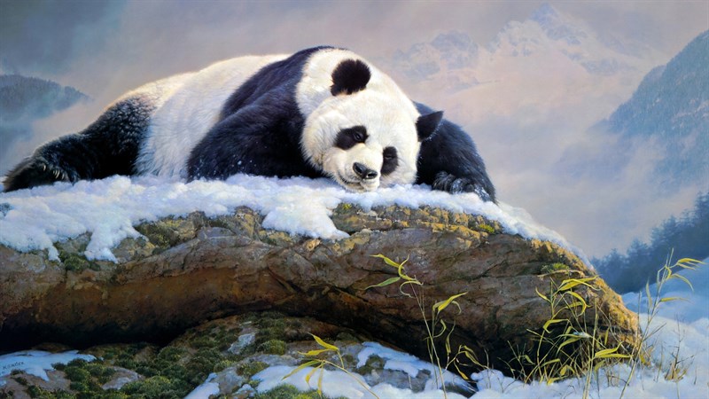 Hình nền Lá Tre Panda Nền Dễ Thương, Lá Tre, Một Con Gấu Trúc, Tre  Background Vector để tải xuống miễn phí - Pngtree