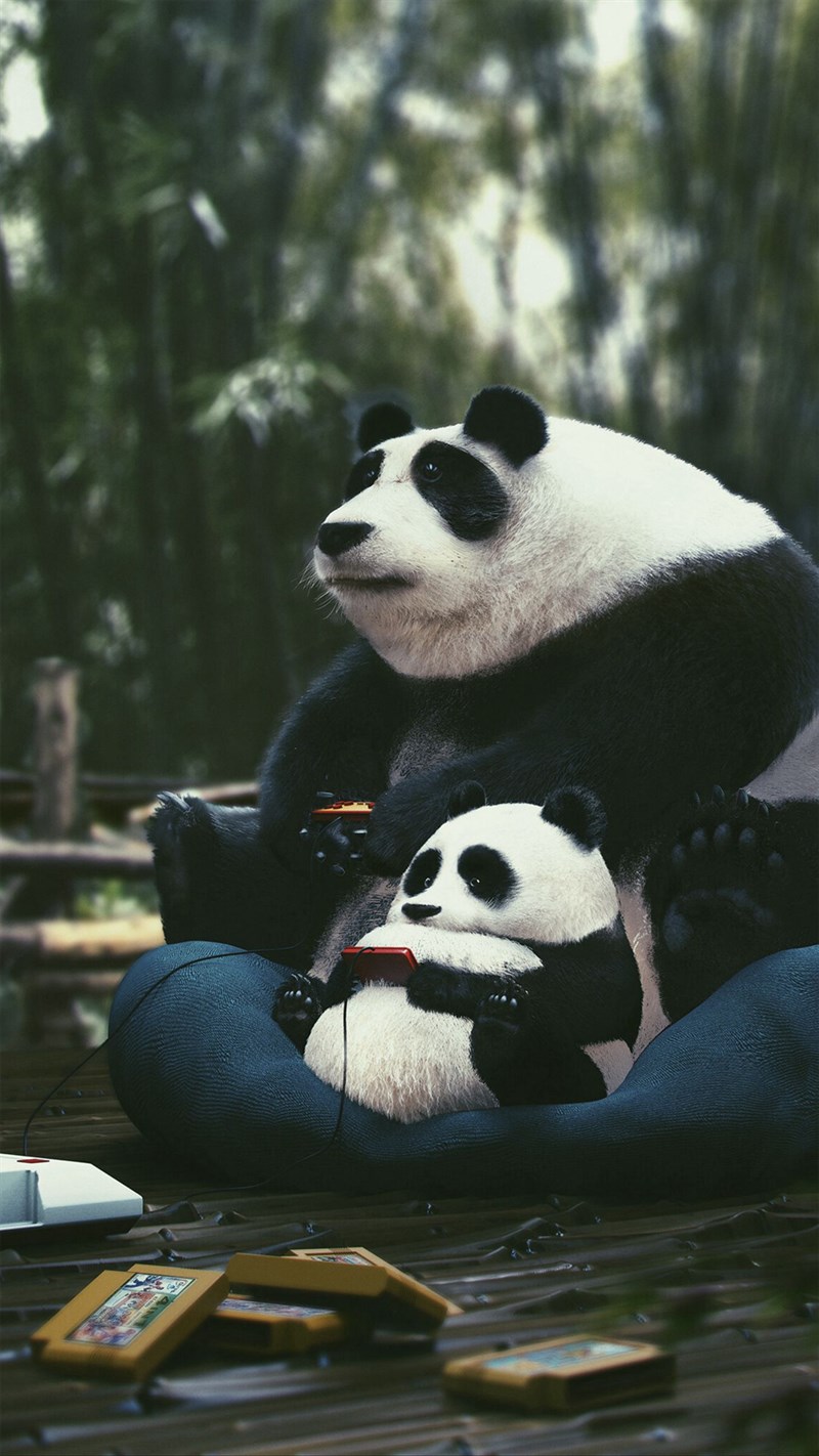 Chia sẻ với hơn 92 hình nền panda cute hay nhất  Tin học Đông Hòa