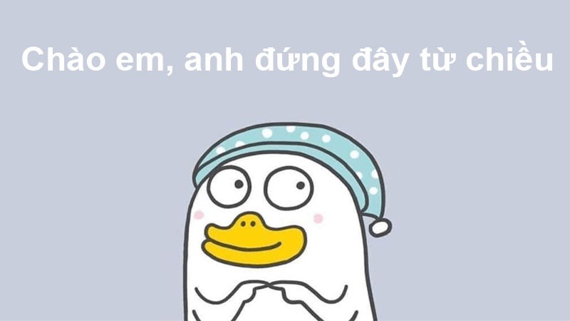 Chào em, anh đứng đây từ chiều