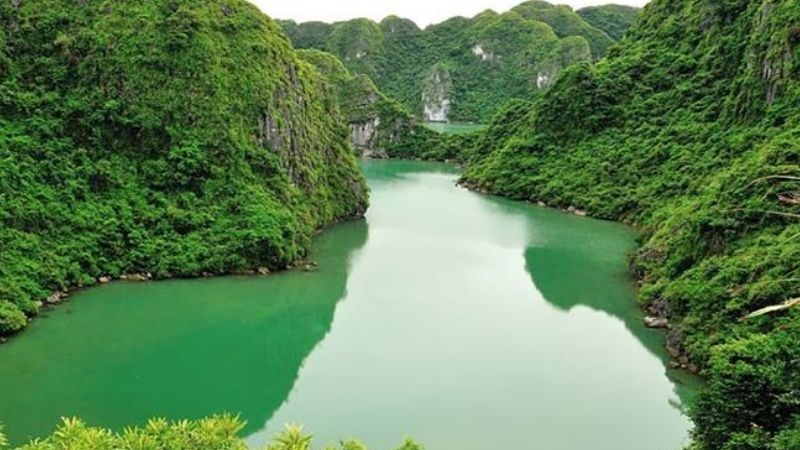 Vườn Quốc Gia Cát Bà