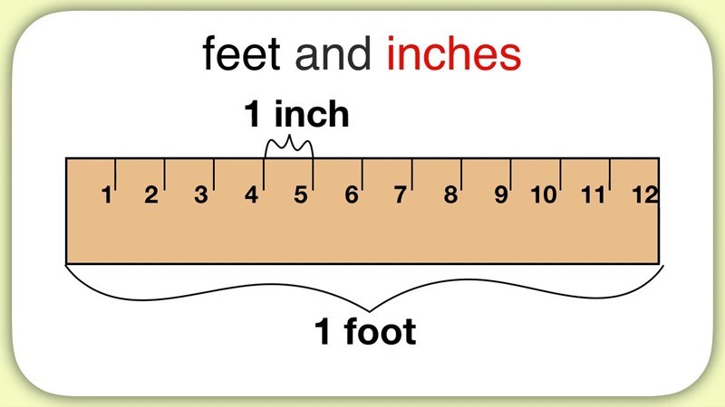 Đơn vị feet (ft) Đơn vị feet (ft)