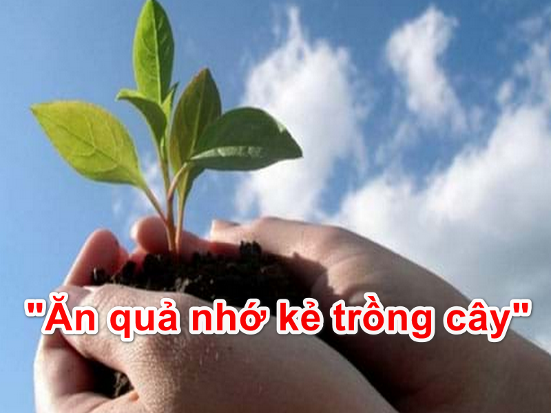 Ăn quả nhớ kẻ trồng cây
