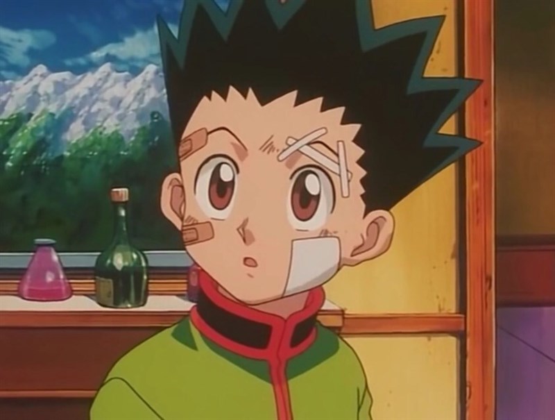 Gon Freecss