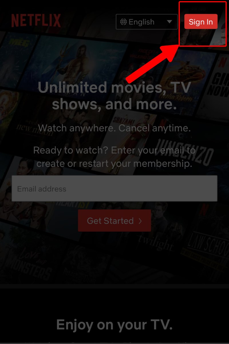 Nhấn Sign in để đăng nhập vào ứng dụng Netflix