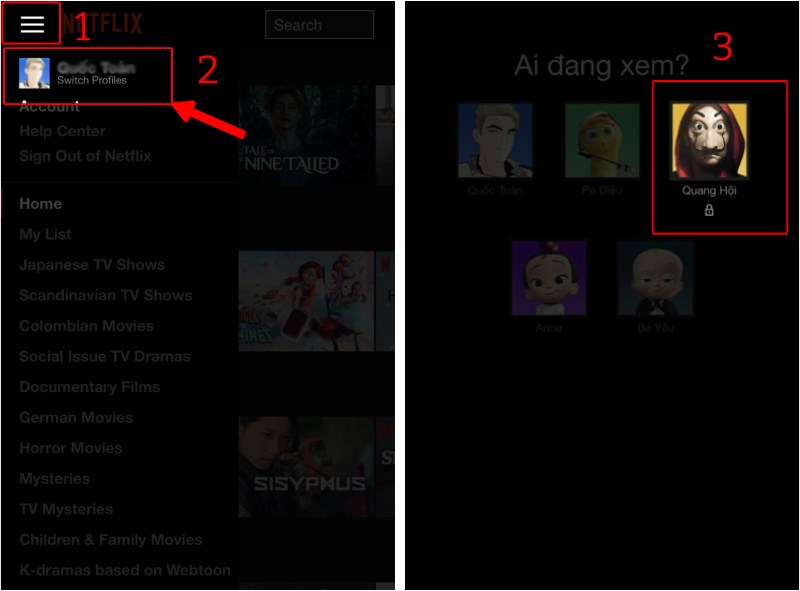 Nhấn Sign in để đăng nhập vào ứng dụng Netflix